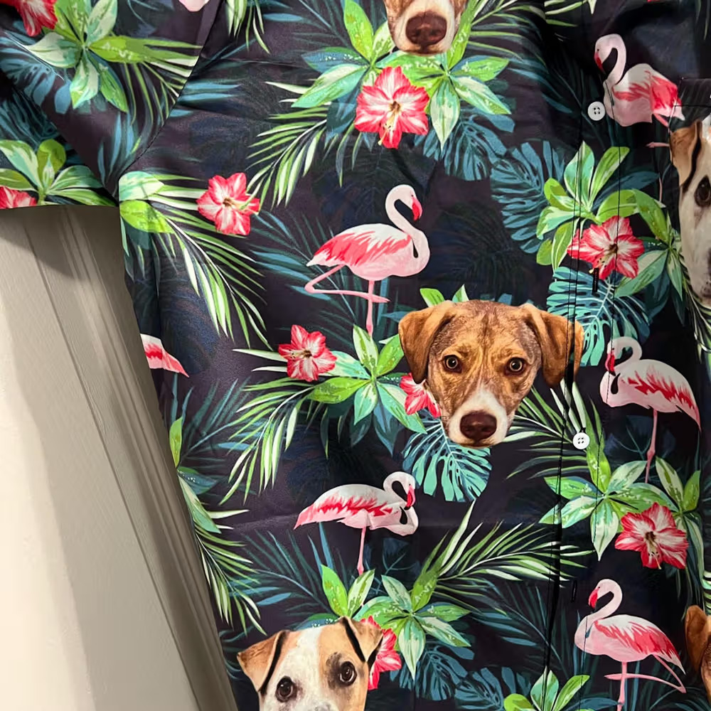 Image #1 from Sarah Williams